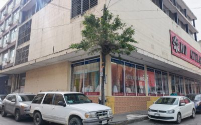 El árbol que se resiste a morir