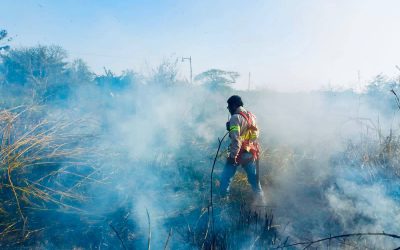 Llaman a prevenir incendios en Tamiahua