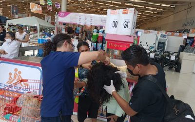El enjambre: una tarde de terror en Tuxpan