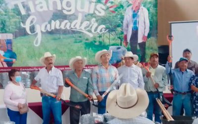 Habitantes de Tamiahua beneficiados por Programas Estatales