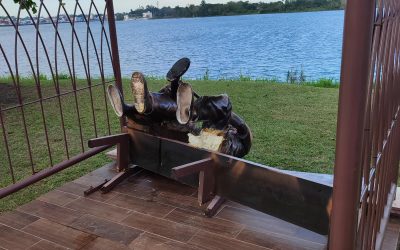 Parejita de jóvenes manos de estómago