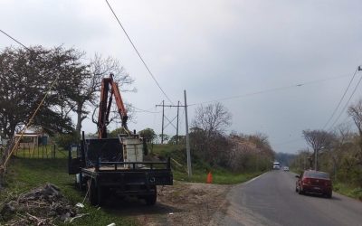 Joven obrero sobrevive tras sufrir descarga eléctrica durante poda de árboles