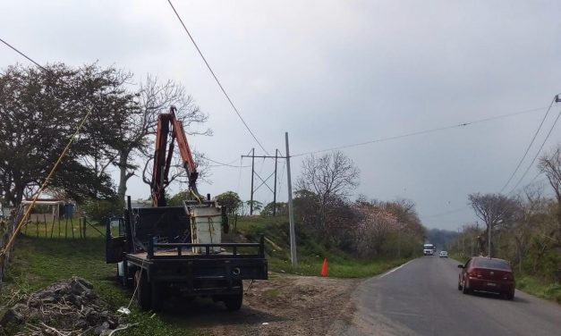 Joven obrero sobrevive tras sufrir descarga eléctrica durante poda de árboles