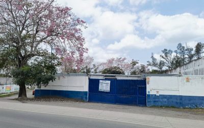 Trabajadores de PepsiCo en Tuxpan se unen para exigir el respeto de sus derechos laborales y la elección libre de su sindicato