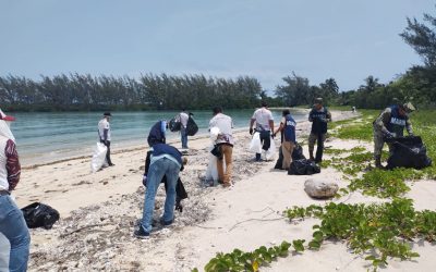 Marina realizó labores de limpieza en Isla de Lobos, Veracruz