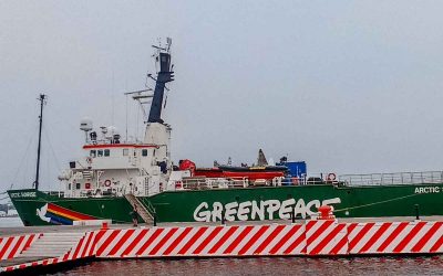 Gasoducto en el Golfo de México pone en riesgo valiosos arrecifes veracruzanos