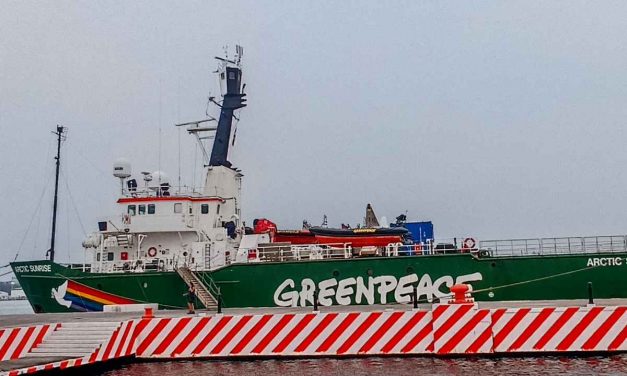 Gasoducto en el Golfo de México pone en riesgo valiosos arrecifes veracruzanos
