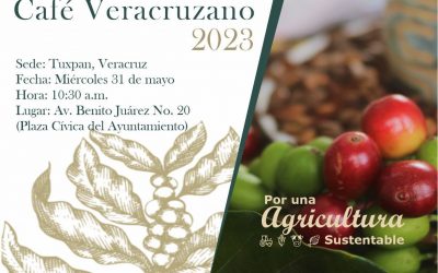 Tuxpan será sede de la “Jornada de Fomento al Consumo del Café Veracruzano 2023”