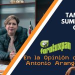 Tamiahua sumida en el caos
