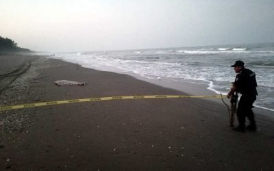 Huida mortal: Anciano ahogado tras buscar refugio en el mar de Barra Galindo