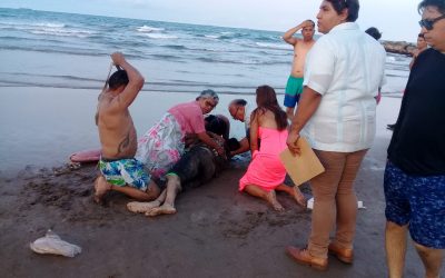 Drama Mortal en Playa Marthita