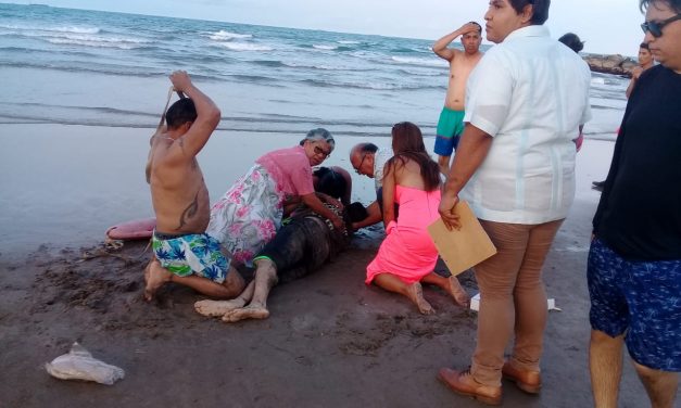 Drama Mortal en Playa Marthita