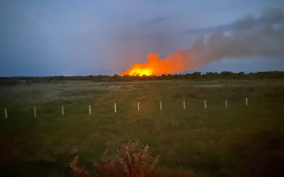 En vigilancia incendio en zona de Tulares