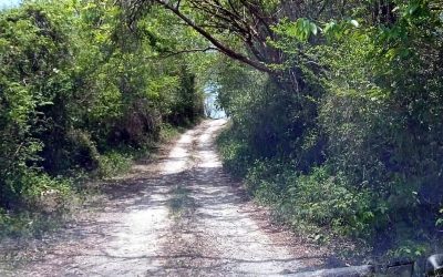 Pobladores de San Marcos en Veracruz exigen urgentes mejoras en vía de acceso