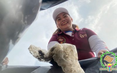 Día Mundial de los Océanos: Un llamado a la acción por la limpieza de nuestras playas