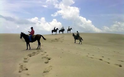 Tamiahua: Fatal embestida de una yegua deja a un vaquero al borde de la muerte