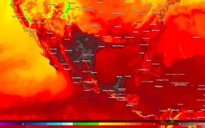Protección Civil emite recomendaciones para protegerse de la Ola de Calor