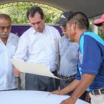 Plaga del ‘Dragón Amarillo’ amenaza la producción de cítricos en Veracruz, alerta Pepe Yunes