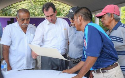 Plaga del ‘Dragón Amarillo’ amenaza la producción de cítricos en Veracruz, alerta Pepe Yunes