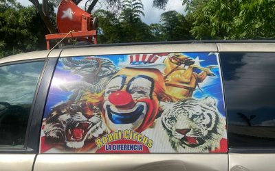 El misterio del circo manchado de sangre: Menor de edad brutalmente asesinado en Tamiahua