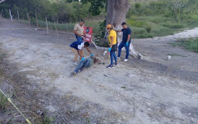 Encuentran cuerpo sin vida de hombre en la carretera Tuxpan Tampico