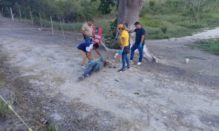 Encuentran cuerpo sin vida de hombre en la carretera Tuxpan Tampico