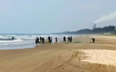 Pescadores utilizan artes prohibidas en Barra Galindo