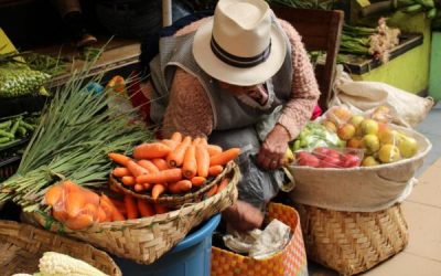 Campesinos de Tuxpan ofrecerán productos frescos del campo, este sábado, en la explanada de la presidencia municipal