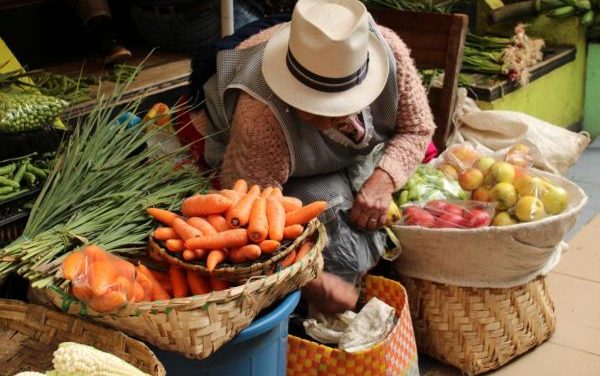 Campesinos de Tuxpan ofrecerán productos frescos del campo, este sábado, en la explanada de la presidencia municipal