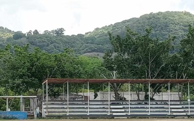 Denuncia Ciudadana: Agente Municipal de La Camelia acusado de perjudicar a la comunidad