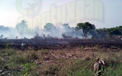 Álamo: Atienden a tiempo incendio en Ojital Ciruelo gracias a esfuerzos comunitarios y bomberos