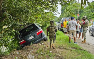 Pestañea y choca contra un árbol