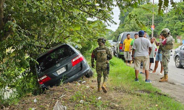 Pestañea y choca contra un árbol
