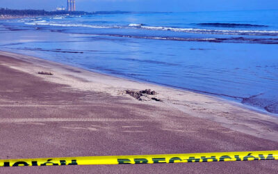 Misterio en las Olas de Tuxpan: Encuentran Cadáver sin Identificar en la Arena