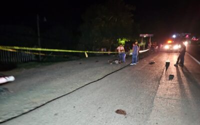 Tragedia en la Autopista México-Tuxpan: Joven atropellado y muerto en Cañada Rica
