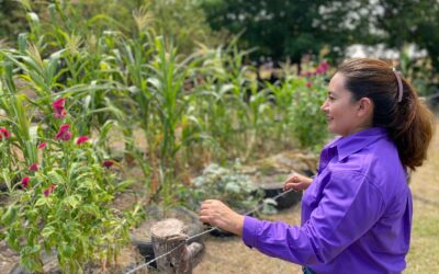 Regidora Anahí Aguilar López Promueve la Cultura del Maíz en la Primer Feria del Maíz «Encuentro de la Cultura Huasteca-Totonaca»