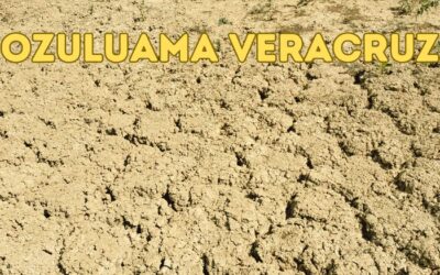 Gobierno Estatal Abandona Ozuluama en Medio de Devastadora Sequía