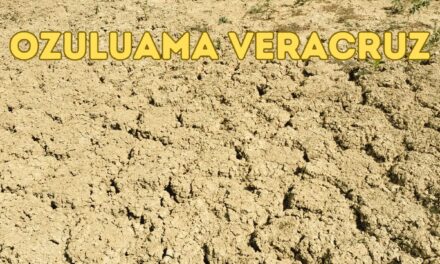 Gobierno Estatal Abandona Ozuluama en Medio de Devastadora Sequía