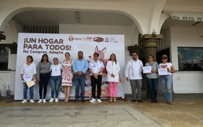 Gran respuesta a la jornada de adopción de perros y gatos “Un Hogar para Todos”