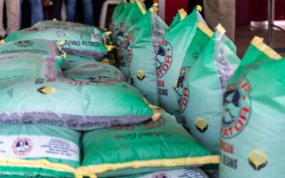 Con la entrega de semilla de frijol de alta calidad, se cultivarán 560 hectáreas, en beneficio de cientos de familias del campo