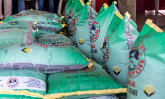 Con la entrega de semilla de frijol de alta calidad, se cultivarán 560 hectáreas, en beneficio de cientos de familias del campo