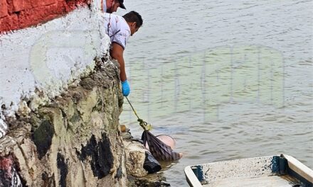 Encuentran sin vida a Juan Carlos Cruz Hernández en el río Tuxpan tras su desaparición