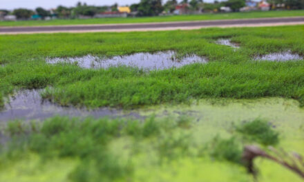 Urgente llamado de los vecinos de la Base Naval Aérea «Fausto Vega Santander» por contaminación en temporada de lluvias
