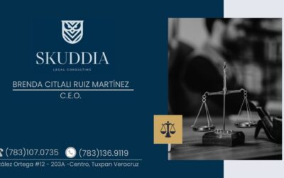 SKUDDIA – Legal Consulting