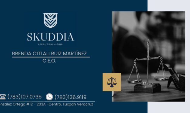 SKUDDIA – Legal Consulting