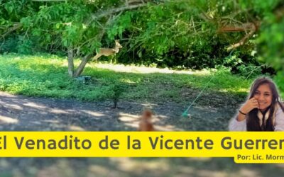 El Venadito de la Vicente Guerrero