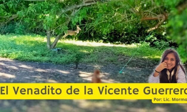 El Venadito de la Vicente Guerrero