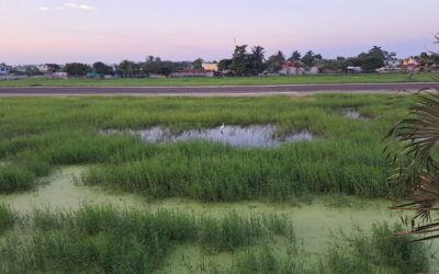 Autoridades navales y municipales se comprometen a resolver la problemática de inundación en la Base Naval Aérea de Tuxpan