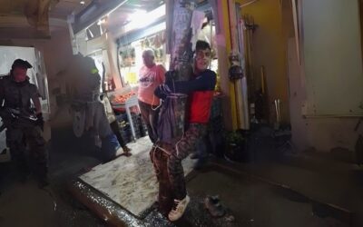 Lo amarran como Puerco