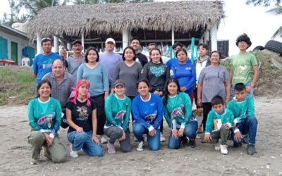 Éxito en el Cierre de Temporada de Anidación 2023: Más de 9 mil Tortugas Liberadas en Tuxpan, Veracruz